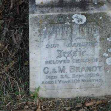 BRANDT Jessie -1914
