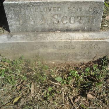 SCOTT Willie -1910