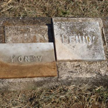 ? Roney :: ? Lenny