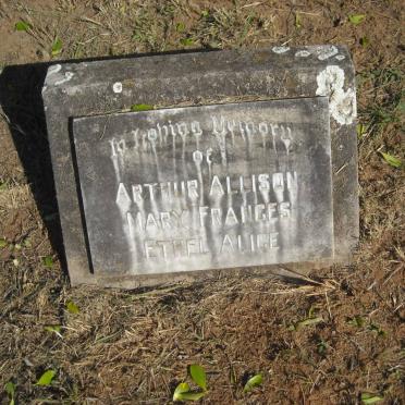 ? Arthur Allison :: ? Mary Frances :: ? Ethel Alice