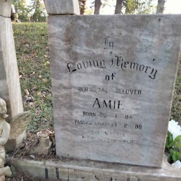 TURNER Amie 1984-1988
