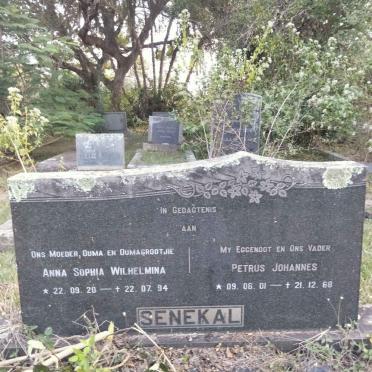 SENEKAL Petrus Johannes 1901-1968 & Anna Sophia Wilhelmina 1920-1994