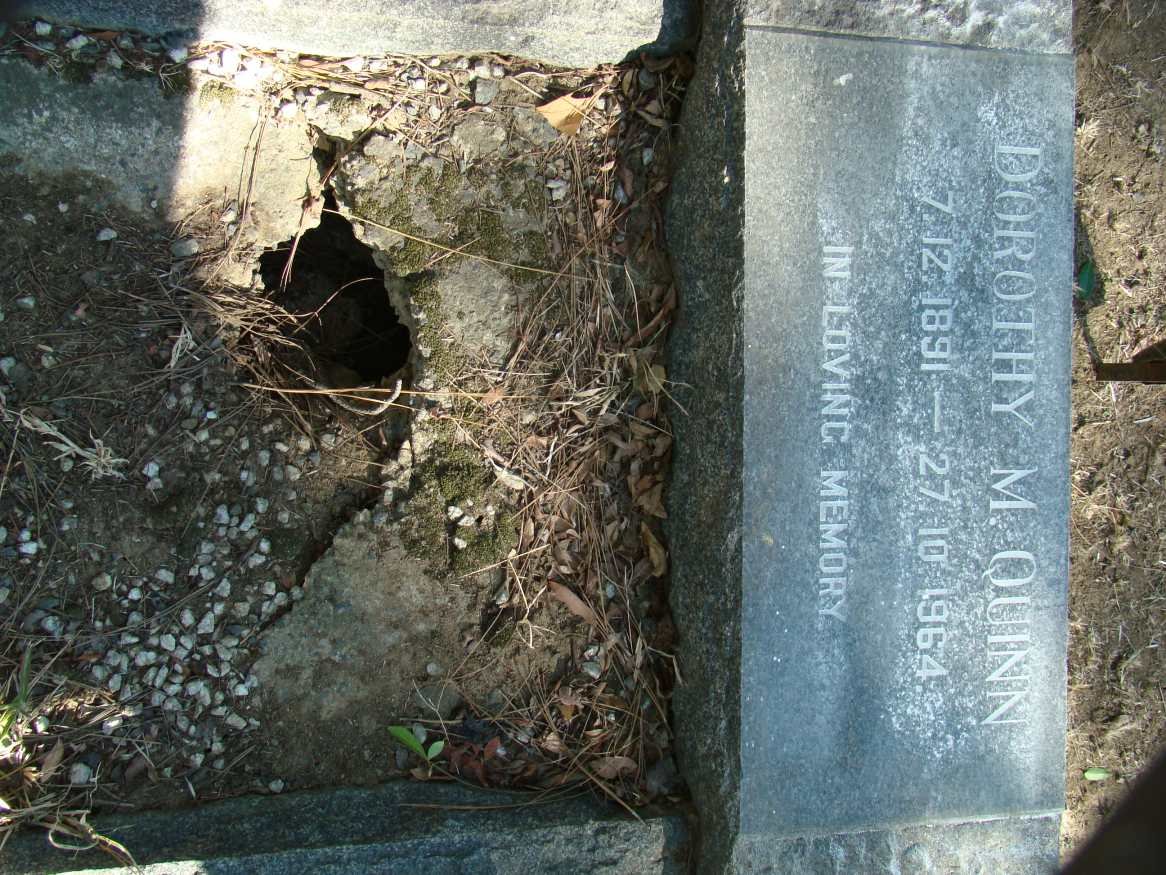 QUINN Dorothy M. 1891-1964