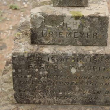 DRIEMEYER Sophia Urie 1872-1917