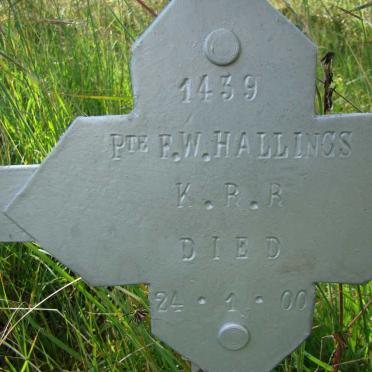 HALLINGS F.W. -1900