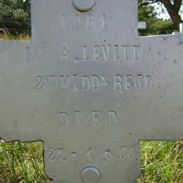 LEVITT A. -1900