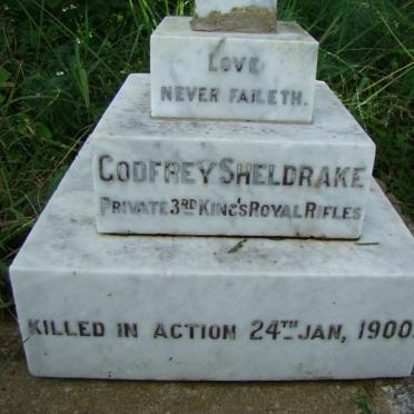 SHELDRAKE Godfrey -1900