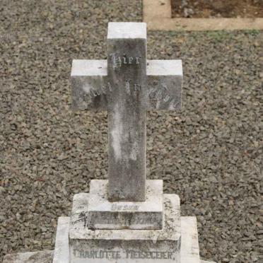 MEISEGEIER Charlotte 1912-1913