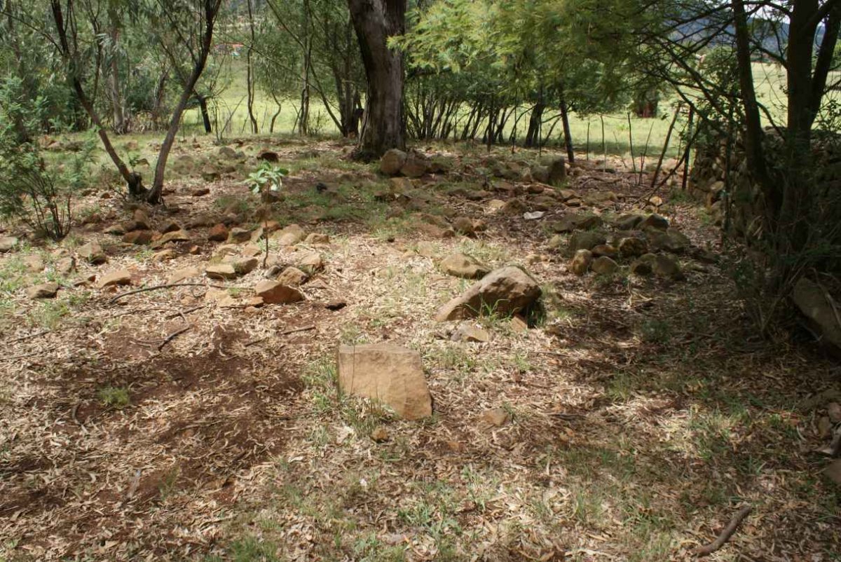 3. Overview