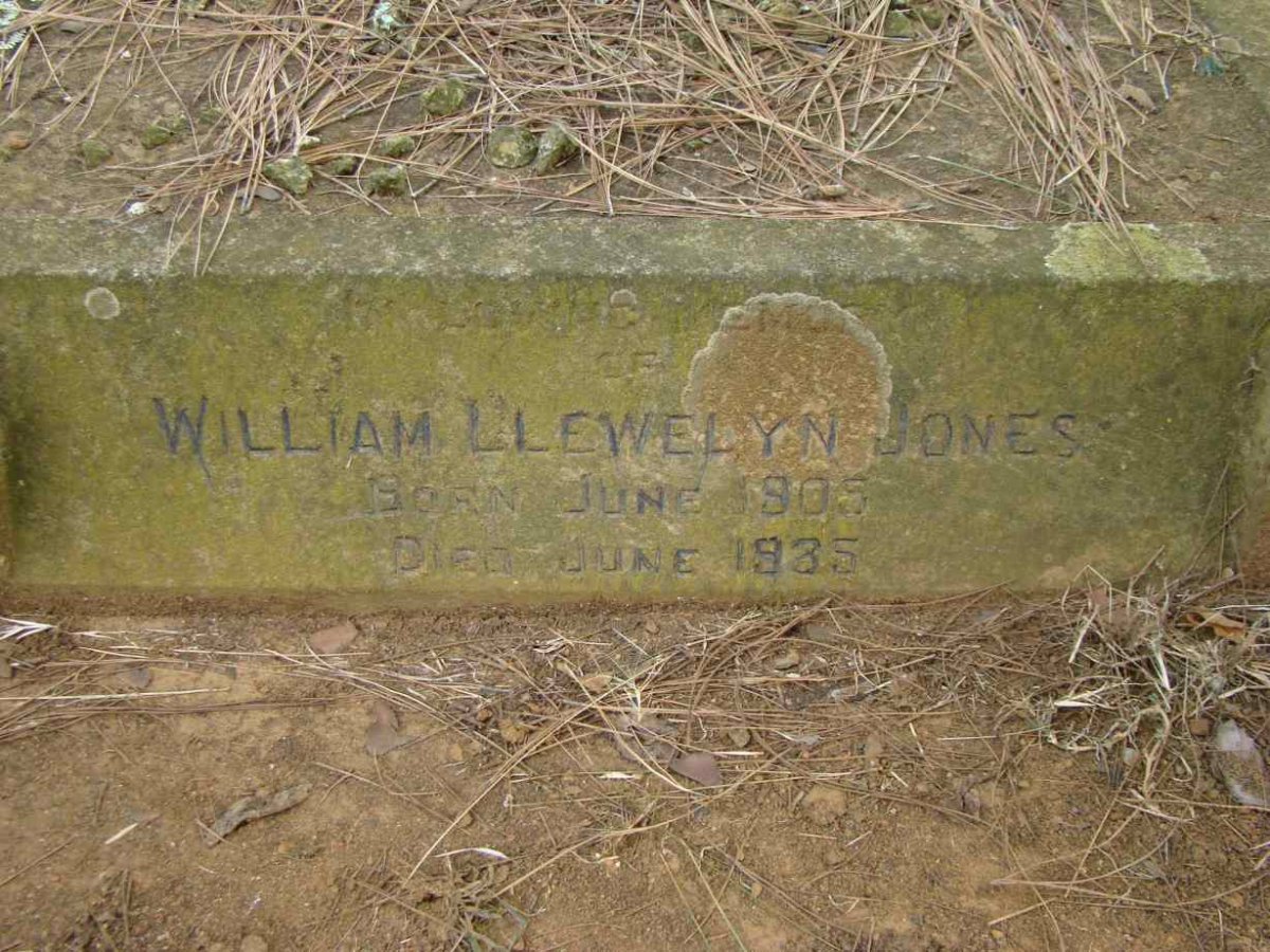 JONES William Llewelyn 1905-1935