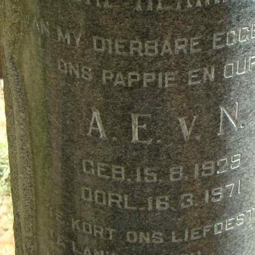 LAUBSCHER A.E.v.N. 1929-1971