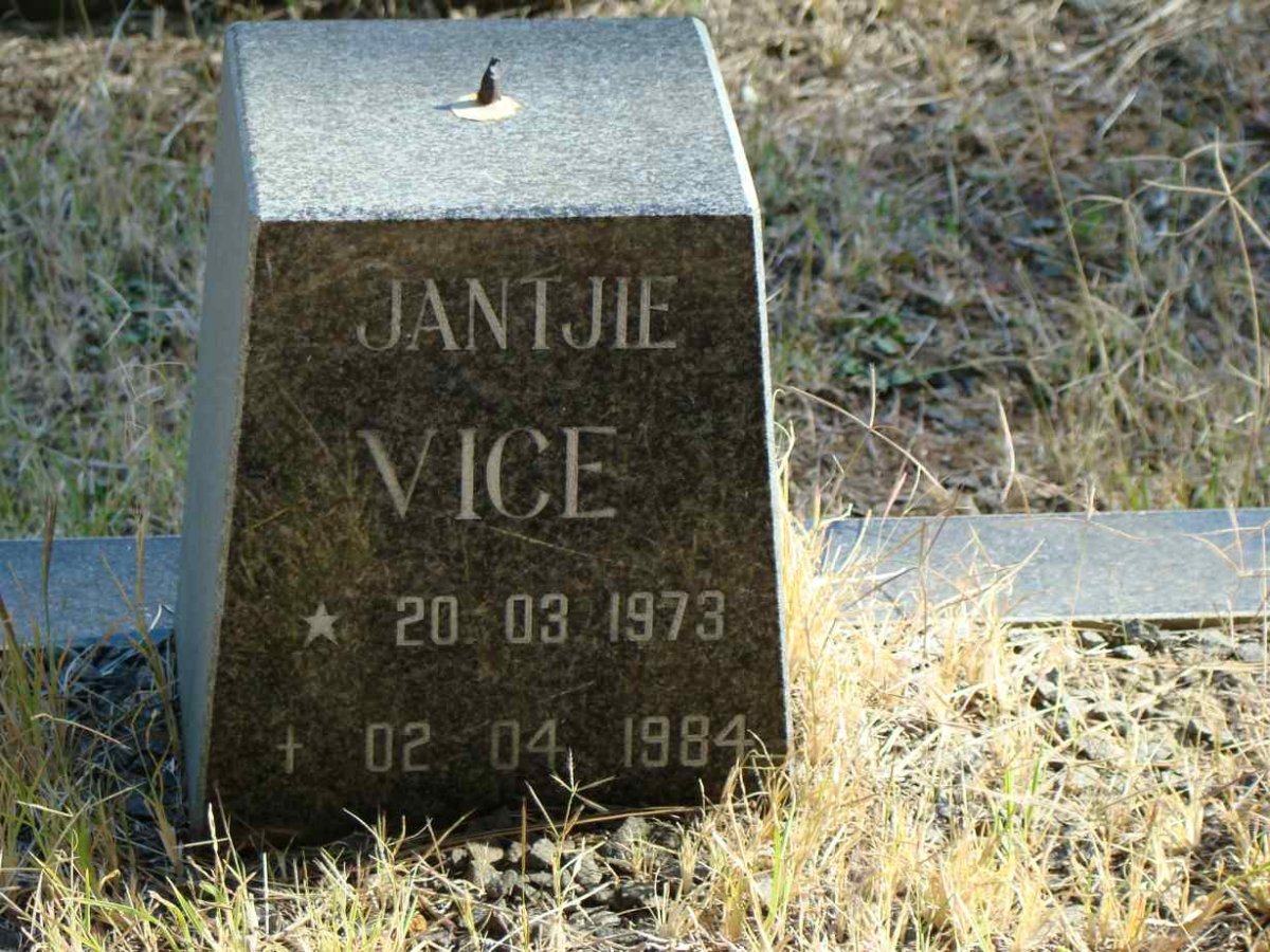 VICE Jantjie 1973-1984
