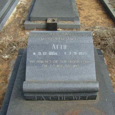 WET J.A.C., de 1954-1978
