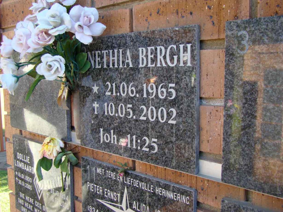 BERGH ?nethia 1965-2002