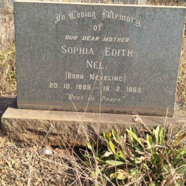 NEL Sophia Edith nee NEETHLING 1899-1965