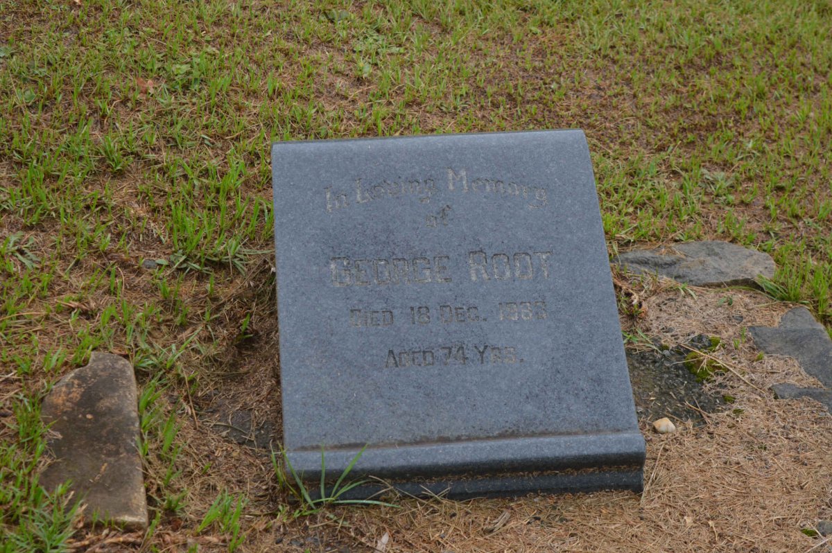 ROOT George -1983