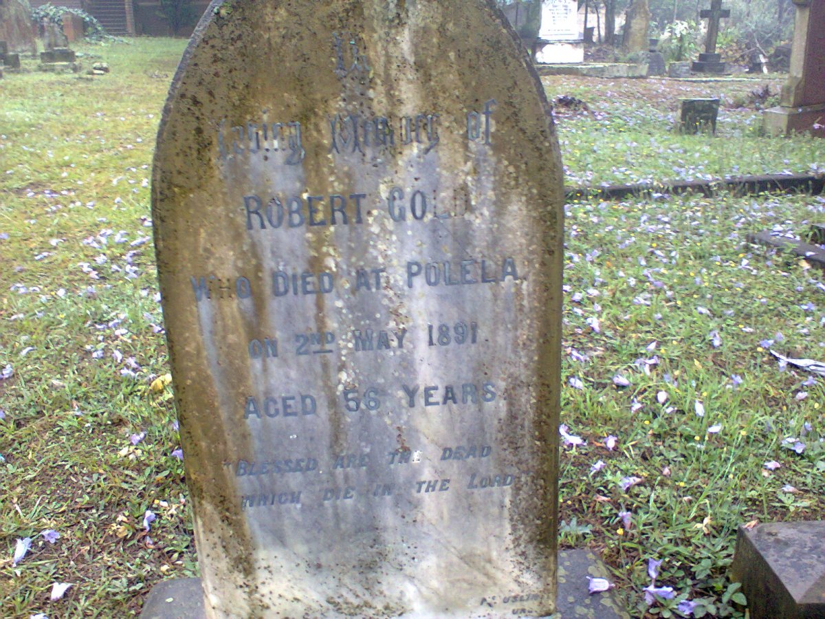 GOLD Robert -1891