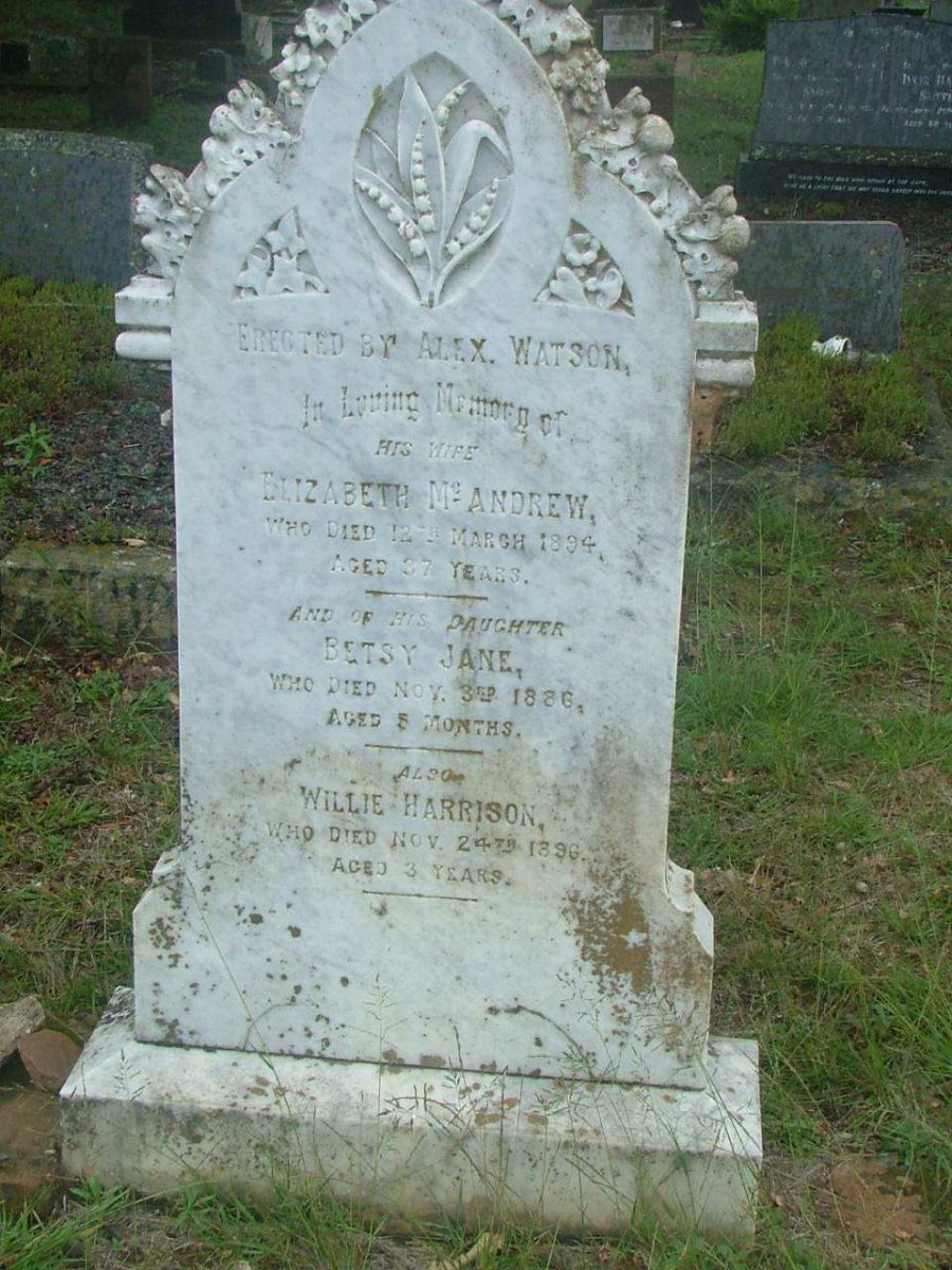 WATSON Elizabeth McAndrew  -1894 :: WATSON Betsy Jane  -1886 :: WATSON Willie Harrison  -1896