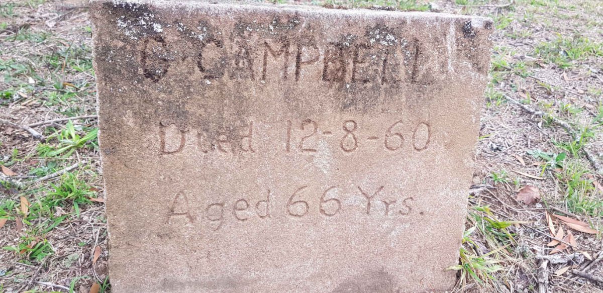 CAMPBELL C. -1960