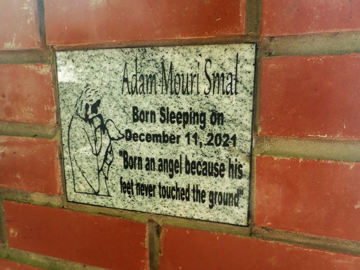 SMAL Adam Mouri 2021-2021