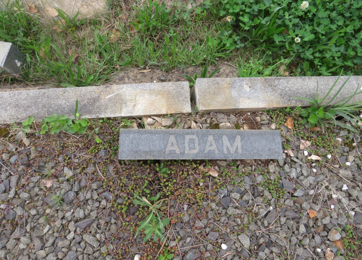 ADAM Robert Craigmile 1895-1968 &amp; Victoria Maud Montgomery 1897-1956