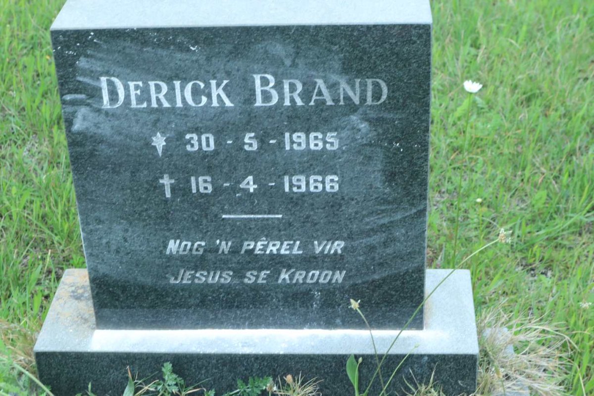 BRAND Derick 1965-1966