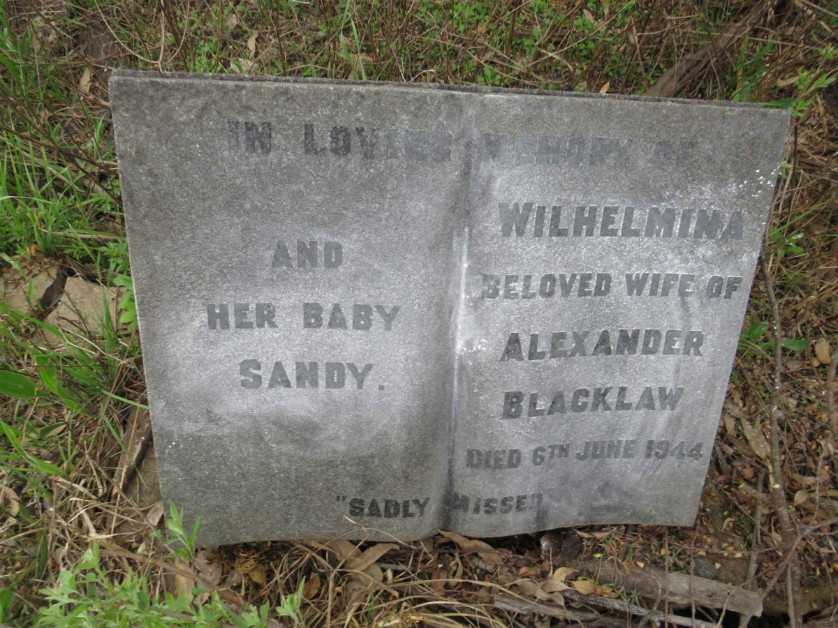 BLACKLAW Wilhelmina -1944 :: BLACKLAW Sandy