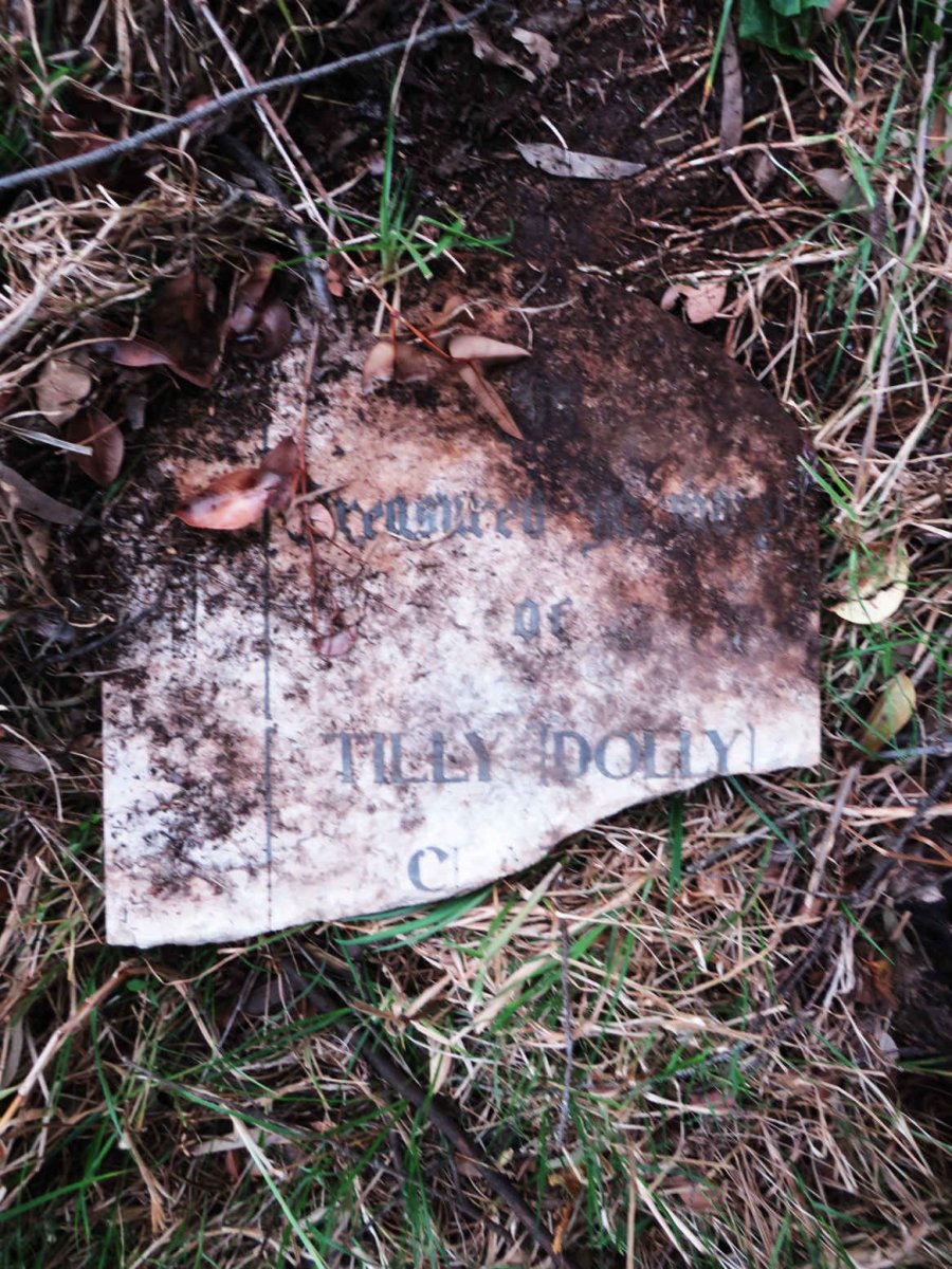 CLARKE Tilly