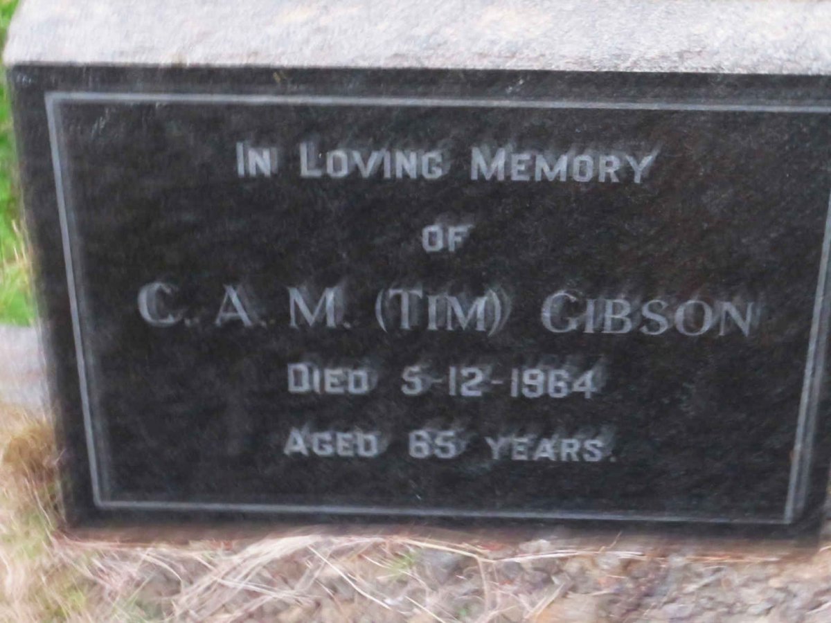 GIBSON C.A.M. -1964