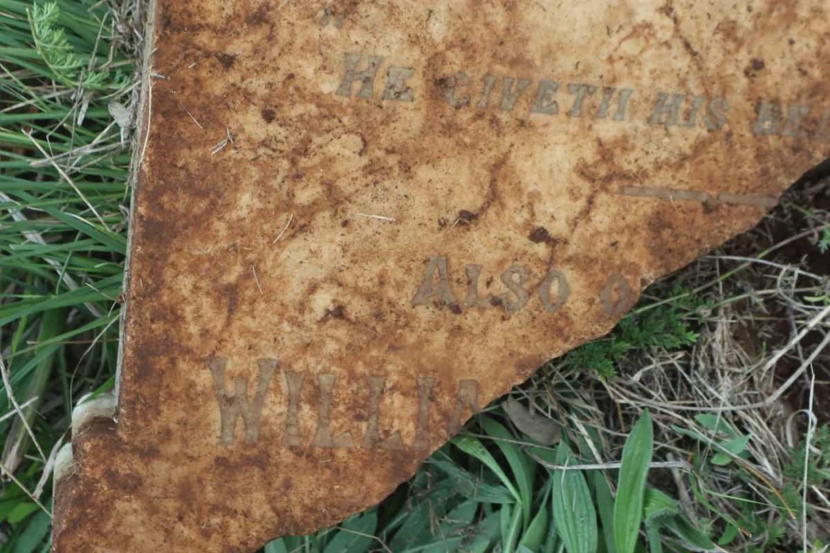 LEONARD William Weston -1902 &amp; Susan -189?