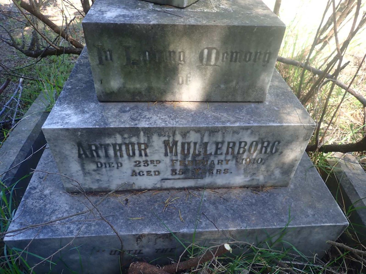 MULLERBORG Arthur -1910