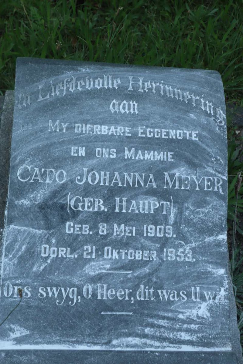 MEYER Cato Johanna nee HAUPT 1909-1953