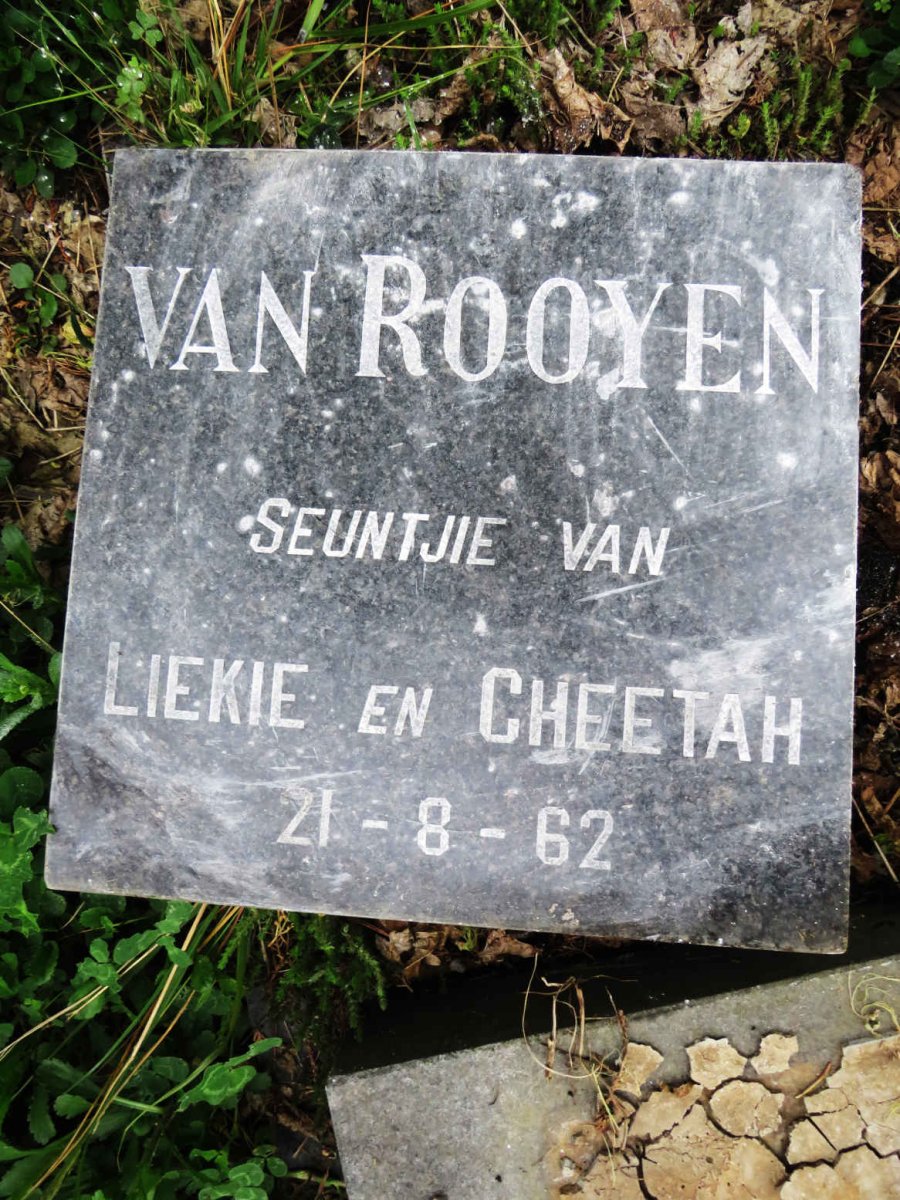 ROOYEN, van -1962