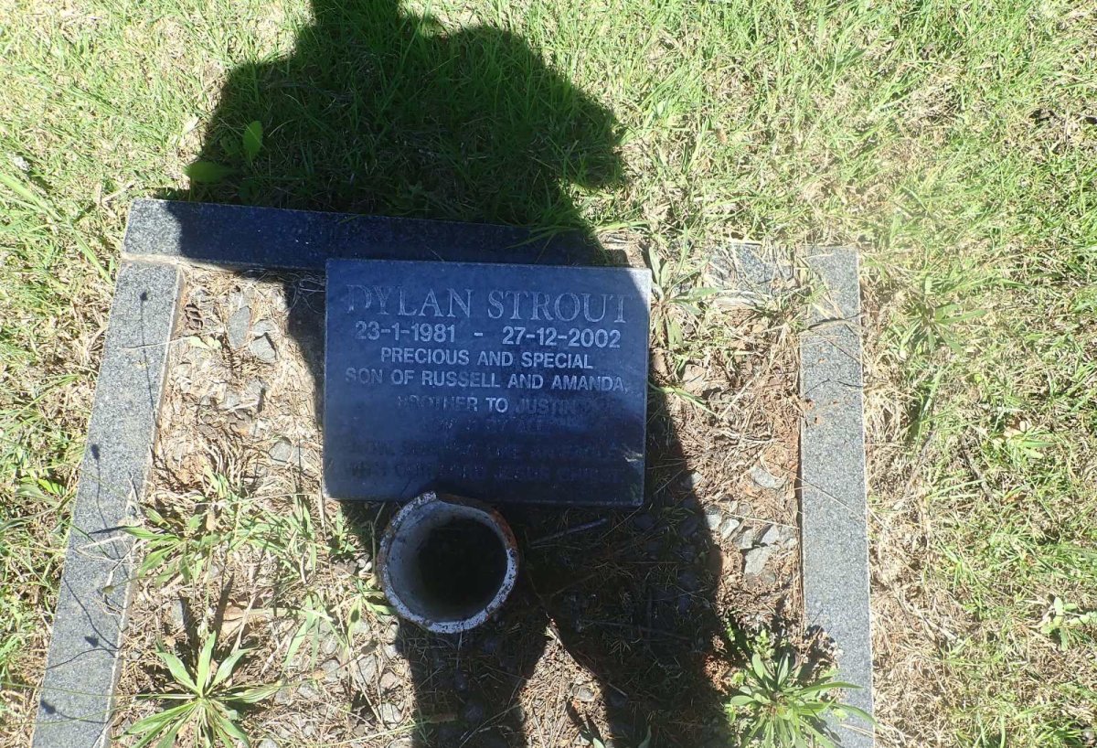 STROUT Dylan 1981-2002