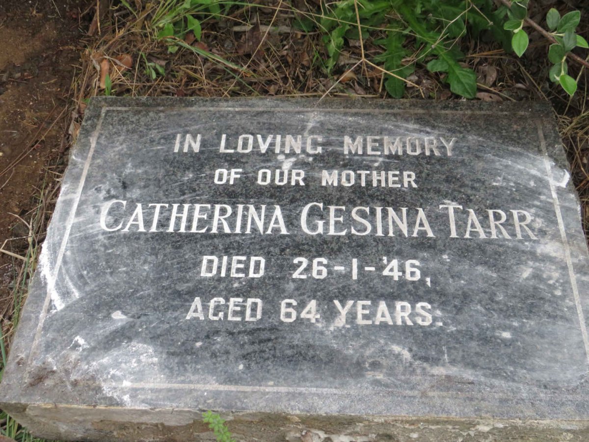 TARR Catherina Gesina –1946