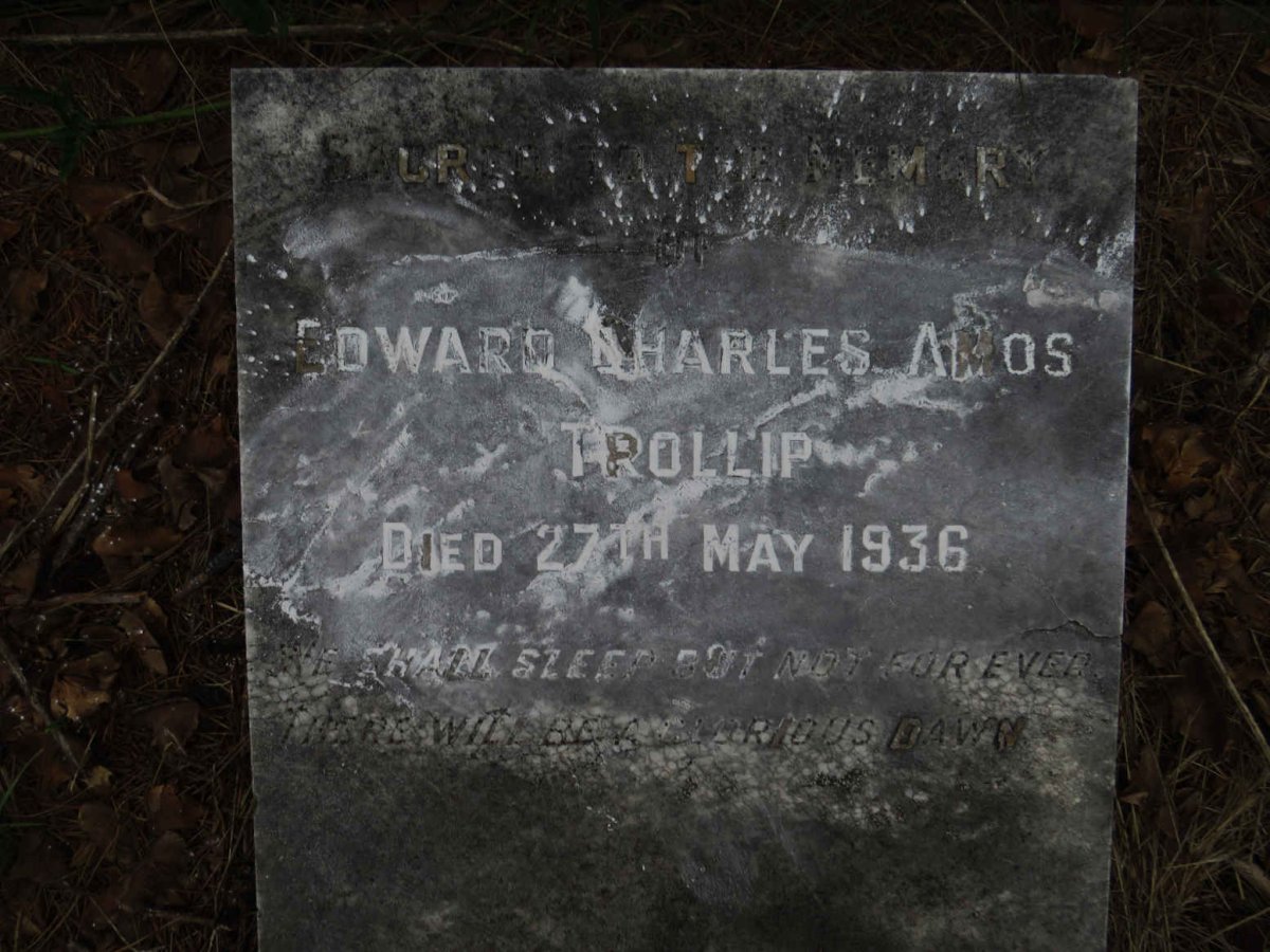 TROLLIP Edward Charles Amos -1936