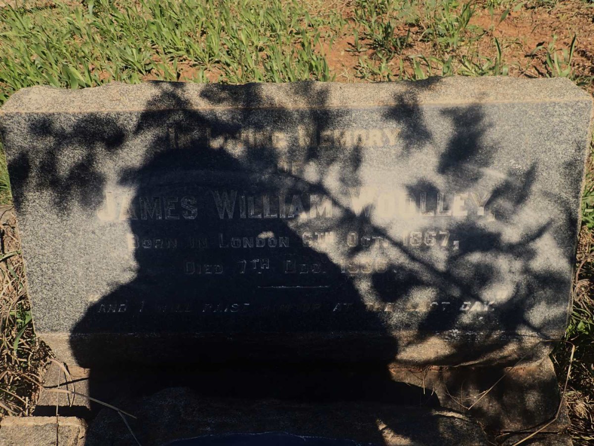 WOOLLEY James William 1867-1936