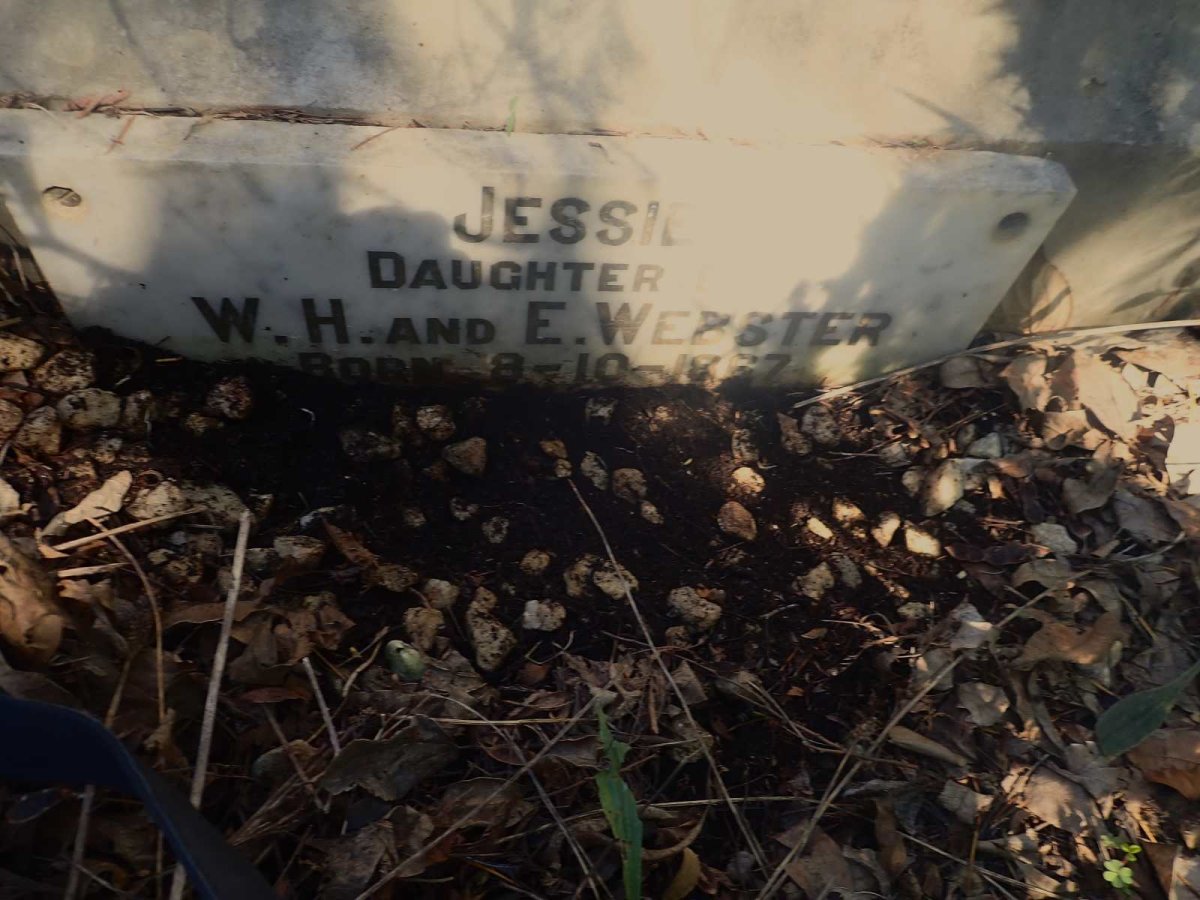 WEBSTER Jessie 1867-?