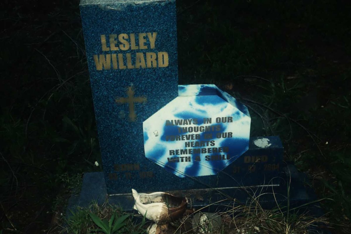 WILLARD Lesley 1974-2004