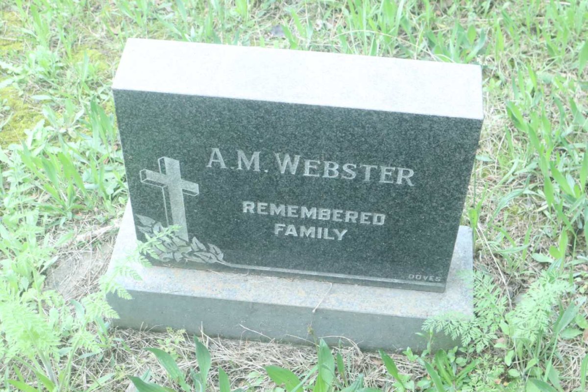 WEBSTER A.M.