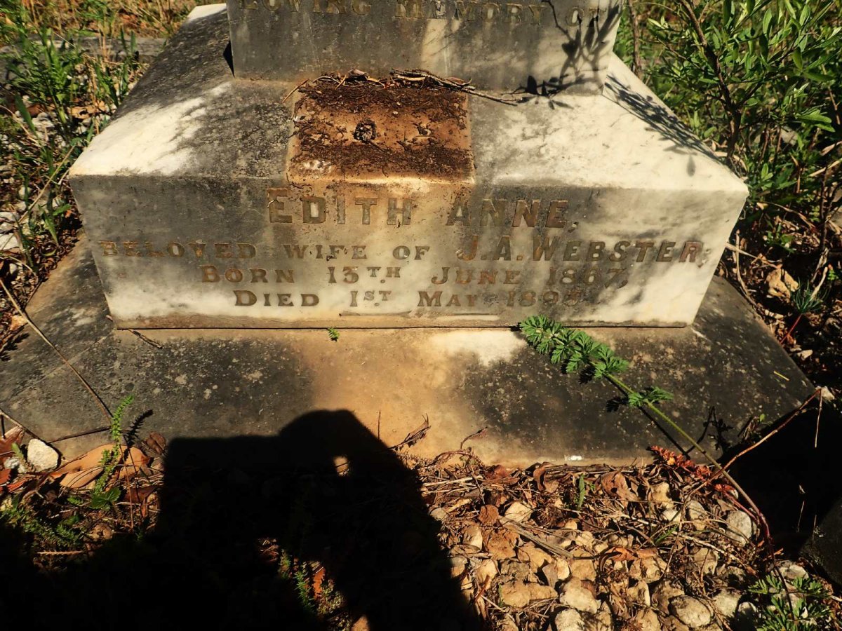 WEBSTER Edith Anne 1867-189?