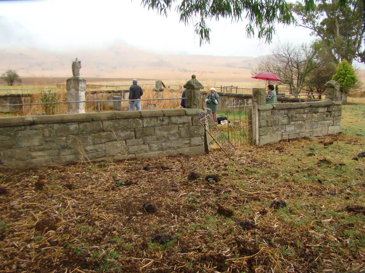 2. Overview