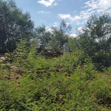 Kwazulu-Natal, KLIPRIVIER district, Van Reenen, The Reproach 4237_2, farm cemetery