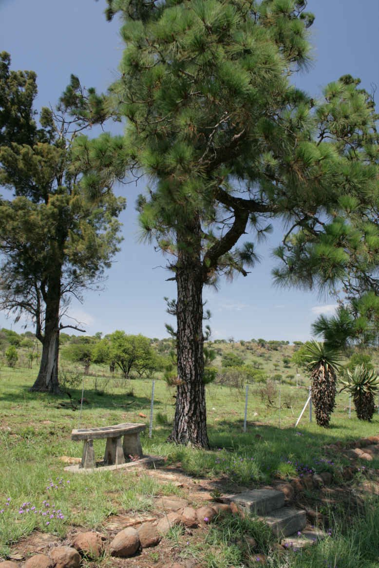 02. Overview of bench with commemorative plaques