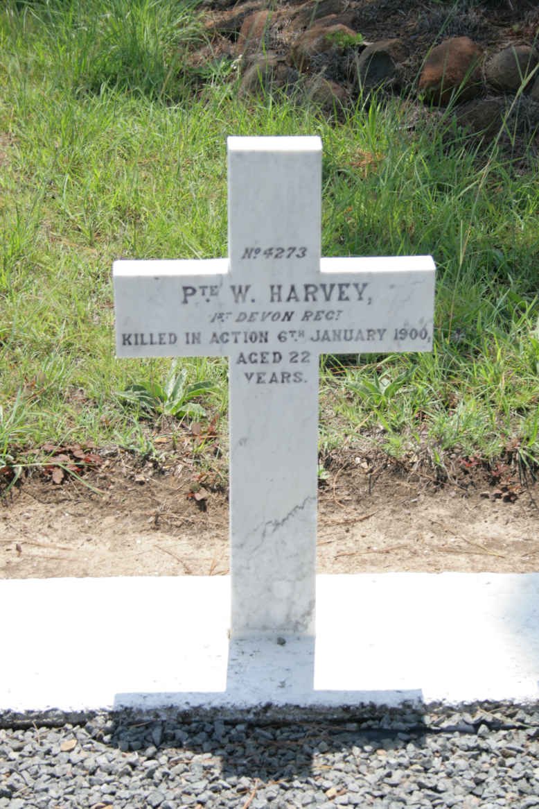 HARVEY W. -1900
