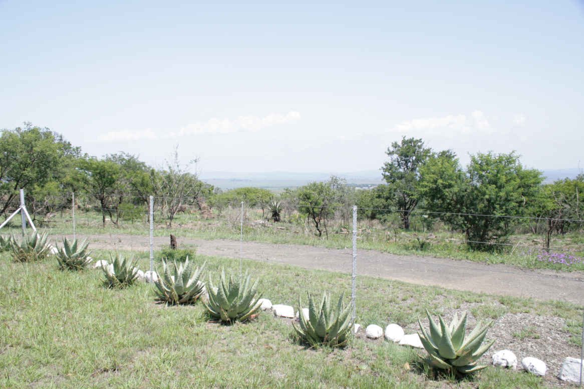 14. Overview of road to Wag-'n-Bietjie Cemetery