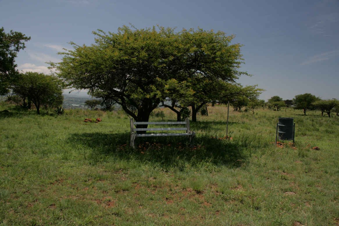 3. Wagon Hill
