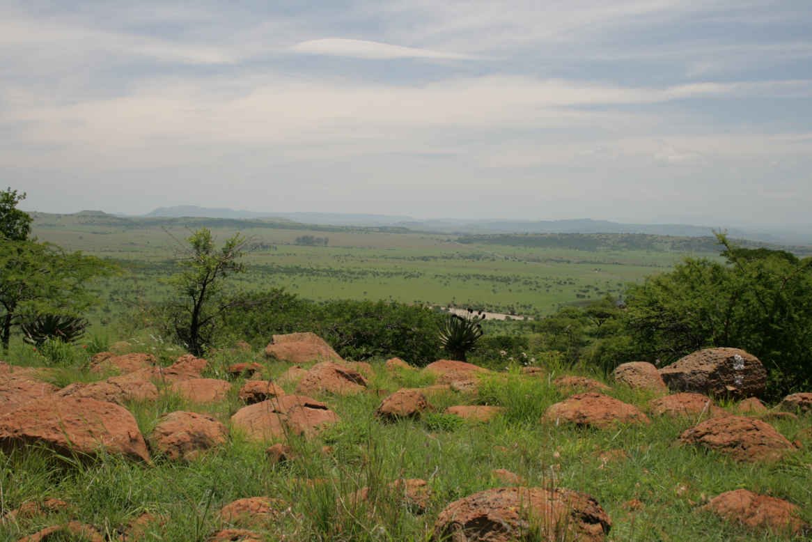 5. View from Wagon Hill