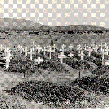 2. Overview