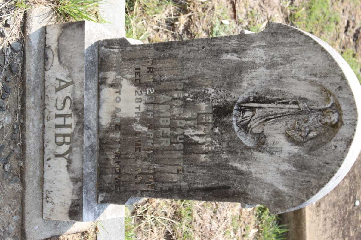 ASHBY Amber 1848-1849